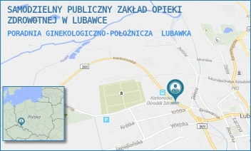 PORADNIA GINEKOLOGICZNO-POŁOŻNICZA - SAMODZIELNY PUBLICZNY ZAKŁAD OPIEKI ZDROWOTNEJ W LUBAWCE - UL. KOŚCIUSZKI 19,  LUBAWKA