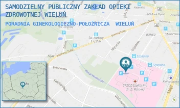 PORADNIA GINEKOLOGICZNO-POŁOŻNICZA - SAMODZIELNY PUBLICZNY ZAKŁAD OPIEKI ZDROWOTNEJ WIELUŃ - UL. UL. SZPITALNA 16,  WIELUŃ
