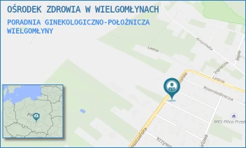 PORADNIA GINEKOLOGICZNO-POŁOŻNICZA - OŚRODEK ZDROWIA W WIELGOMŁYNACH - RADOMSZCZAŃSKA  7,  WIELGOMŁYNY