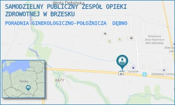 PORADNIA GINEKOLOGICZNO-POŁOŻNICZA - SAMODZIELNY PUBLICZNY ZESPÓŁ OPIEKI ZDROWOTNEJ W BRZESKU - UL. WOLA DĘBIŃSKA 172,  DĘBNO