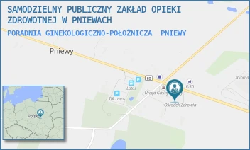 PORADNIA GINEKOLOGICZNO-POŁOŻNICZA - SAMODZIELNY PUBLICZNY ZAKŁAD OPIEKI ZDROWOTNEJ W PNIEWACH - 2A,  PNIEWY