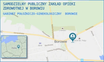 GABINET POŁOŻNICZO-GINEKOLOGICZNY - SAMODZIELNY PUBLICZNY ZAKŁAD OPIEKI ZDROWOTNEJ W BOROWIU - GARWOLIŃSKA 9,  BOROWIE