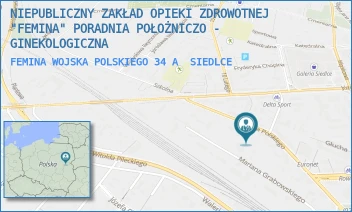 FEMINA WOJSKA POLSKIEGO 34 A - NIEPUBLICZNY ZAKŁAD OPIEKI ZDROWOTNEJ "FEMINA" PORADNIA POŁOŻNICZO - GINEKOLOGICZNA - WOJSKA POLSKIEGO 34 A,  SIEDLCE