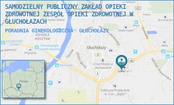 PORADNIA GINEKOLOGICZNA - SAMODZIELNY PUBLICZNY ZAKŁAD OPIEKI ZDROWOTNEJ ZESPÓŁ OPIEKI ZDROWOTNEJ W GŁUCHOŁAZACH - UL. MARII CURIE-SKŁODOWSKIEJ 16,  GŁUCHOŁAZY