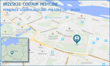 PORADNIA GINEKOLOGICZNO-POŁOŻNICZA - BRZESKIE CENTRUM MEDYCZNE - UL. SERGIUSZA MOSSORA 1,  BRZEG