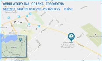 GABINET GINEKOLOGICZNO-POŁOŻNICZY - AMBULATORYJNA OPIEKA ZDROWOTNA - SZKOLNA 26,  PUŃSK