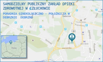 PORADNIA GINEKOLOGICZNO - POŁOŻNICZA W DEBRZNIE - SAMODZIELNY PUBLICZNY ZAKŁAD OPIEKI ZDROWOTNEJ W CZŁUCHOWIE - RYNEK 3,  DEBRZNO