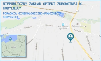 PORADNIA GINEKOLOGICZNO-POŁOŻNICZA - NIEPUBLICZNY ZAKŁAD OPIEKI ZDROWOTNEJ W KOBYLNICY LIDIA RYNDA, ZBIGNIEW WOJCIECHOWICZ S.C - UL. GŁÓWNA 54A,  KOBYLNICA