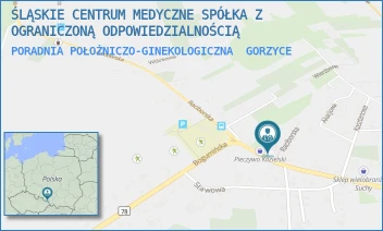PORADNIA POŁOŻNICZO-GINEKOLOGICZNA - ŚLĄSKIE CENTRUM MEDYCZNE SPÓŁKA Z OGRANICZONĄ ODPOWIEDZIALNOŚCIĄ - RACIBORSKA 48,  GORZYCE