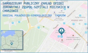 ODDZIAŁ POŁOŻNICZO-GINEKOLOGICZNY - SAMODZIELNY PUBLICZNY ZAKŁAD OPIEKI ZDROWOTNEJ ZESPÓŁ SZPITALI MIEJSKICH W CHORZOWIE - UL. STRZELCÓW BYTOMSKICH 11,  CHORZÓW