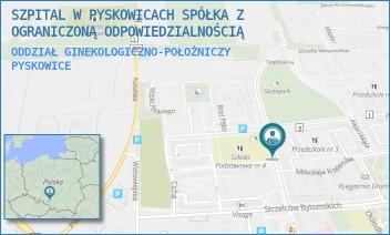 ODDZIAŁ GINEKOLOGICZNO-POŁOŻNICZY - SZPITAL W PYSKOWICACH SPÓŁKA Z OGRANICZONĄ ODPOWIEDZIALNOŚCIĄ - UL. SZPITALNA 2,  PYSKOWICE