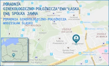 PORADNIA GINEKOLOGICZNO-POŁOŻNICZA - PORADNIA GINEKOLOGICZNO-POŁOŻNICZA"EWA"ŁASKA EWA SPÓŁKA JAWNA - OSIEDLE XXX LECIA 60,  WODZISŁAW ŚLĄSKI