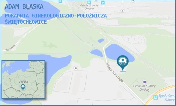 PORADNIA GINEKOLOGICZNO-POŁOŻNICZA - ADAM BLASKA - UL. PLAC KRAUZEGO 2,  ŚWIĘTOCHŁOWICE