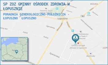 PORADNIA GINEKOLOGICZNO-POŁOŻNICZA - ŁOPUSZNO - SP ZOZ GMINNY OŚRODEK ZDROWIA W ŁOPUSZNIE - STRAŻACKA 10,  ŁOPUSZNO