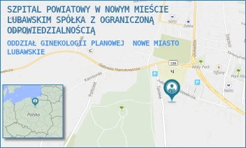 ODDZIAŁ GINEKOLOGII PLANOWEJ - SZPITAL POWIATOWY W NOWYM MIEŚCIE LUBAWSKIM SPÓŁKA Z OGRANICZONĄ ODPOWIEDZIALNOŚCIĄ - MICKIEWICZA 10,  NOWE MIASTO LUBAWSKIE