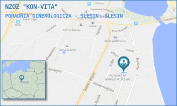 PORADNIA GINEKOLOGICZA - ŚLESIN - NZOZ "KON-VITA" - TARGOWA 23,  ŚLESIN