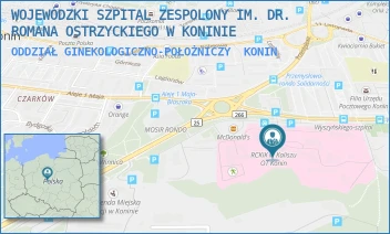 ODDZIAŁ GINEKOLOGICZNO-POŁOŻNICZY - WOJEWÓDZKI SZPITAL ZESPOLONY IM. DR. ROMANA OSTRZYCKIEGO W KONINIE - KARDYNAŁA S. WYSZYŃSKIEGO 1,  KONIN