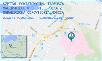 ODDZIAŁ POŁOŻNICZO - GINEKOLOGICZNY - SZPITAL POWIATOWY IM. TADEUSZA MALIŃSKIEGO W ŚREMIE SPÓŁKA Z OGRANICZONĄ ODPOWIEDZIALNOŚCIĄ - CHEŁMOŃSKIEGO 1,  ŚREM