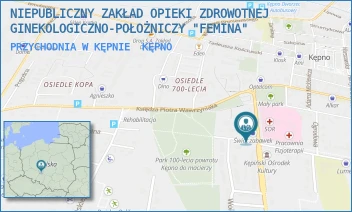 PRZYCHODNIA W KĘPNIE - NIEPUBLICZNY ZAKŁAD OPIEKI ZDROWOTNEJ GINEKOLOGICZNO-POŁOŻNICZY "FEMINA" - DĄBROWSKIEGO 14,  KĘPNO