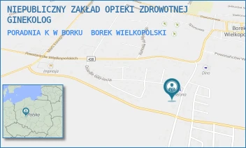 PORADNIA K W BORKU - NIEPUBLICZNY ZAKŁAD OPIEKI ZDROWOTNEJ GINEKOLOG - DROGA LISIA 56,  BOREK WIELKOPOLSKI