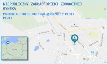 PORADNIA GINEKOLOGICZNO-POŁOŻNICZ PŁOTY - NIEPUBLICZNY ZAKŁAD OPIEKI ZDROWOTNEJ GYNEKA - JEDNOŚCI NARODOWEJ 35,  PŁOTY