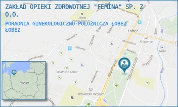 PORADNIA GINEKOLOGICZNO-POŁOŻNICZA ŁOBEZ - ZAKŁAD OPIEKI ZDROWOTNEJ "FEMINA" SP. Z O.O. - WYBICKIEGO 5/11,  ŁOBEZ