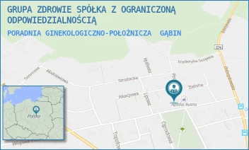 PORADNIA GINEKOLOGICZNO-POŁOŻNICZA - GRUPA ZDROWIE SPÓŁKA Z OGRANICZONĄ ODPOWIEDZIALNOŚCIĄ - PŁOCKA 19,  GĄBIN